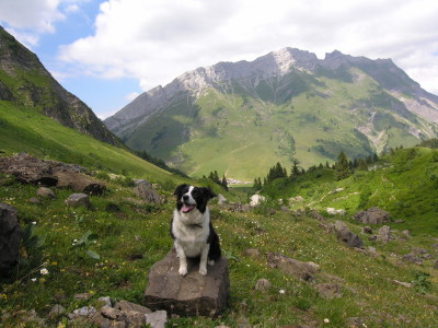 Harika, May 2010