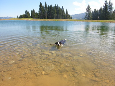 Harika, May 2010