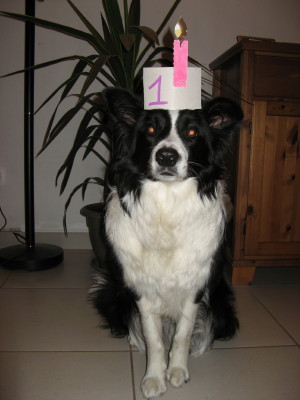 On her first birthday