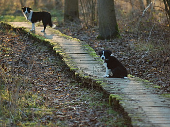 Picture made by Johan. Picture made by Johan.